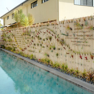 Inspiration pour un jardin vertical design.