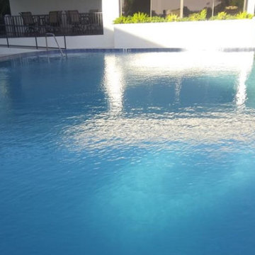 Pro Pool Service LWR