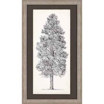 Tree Sketch II Art