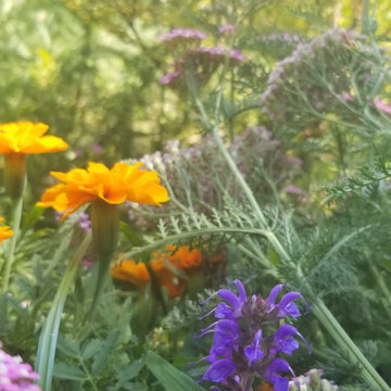 Gainesville Garden and Landscaping