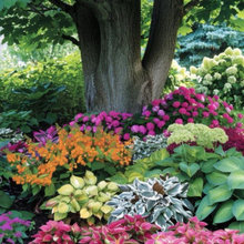 Landscaping and outdoors