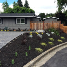 Mulch Examples