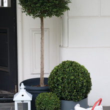 Front entryway