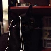 Scott Grier's photo