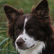 Barb Riebold's photo