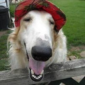 Bonnie Stroman's photo