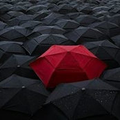 Ahmer Faruki's photo