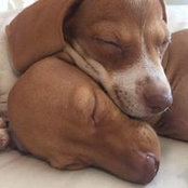 Jeanne Anne Baughman's photo