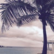Danielle Johnston's photo