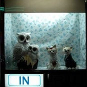 Foto de Mimi Lien