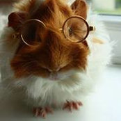 Tracy Bromage's photo