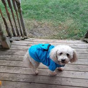 Heather MacInnis's photo