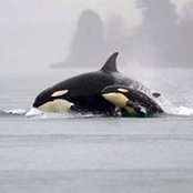 Jess Leiker's photo