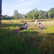 Min Swe's photo