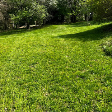 Professional Lawn Care & Mulch Installation