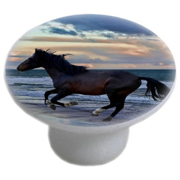 Horse on Beach Night Ceramic Cabinet Drawer Knob