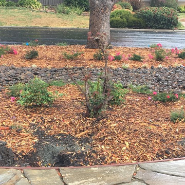 Front Yard Remodel