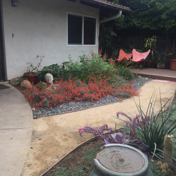Water feature, Echeveria, and Hesper aloe