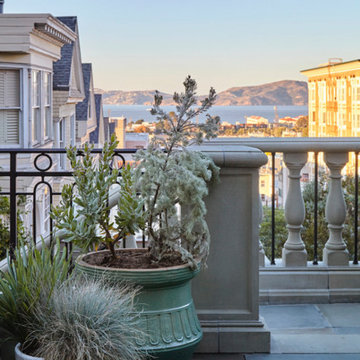 Garden in the City