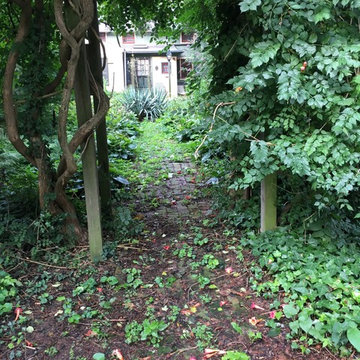 In search of the Natural Garden