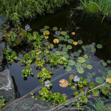 My Houzz: A Canadian Garden Is Well-Prepared for the Cold Weather Ahead