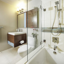 Glass Shower Door
