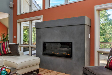 Living room - contemporary living room idea in Cedar Rapids