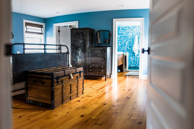 Photo of a traditional master bedroom in Other with blue walls and light hardwood floors.