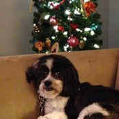 Julie Huey's photo