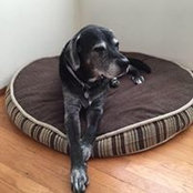 David Wayte's photo