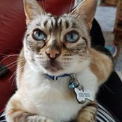 Erica Waldron's photo