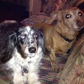 Wally Haviland's photo