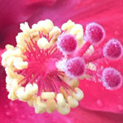 Photo de laura Carucci