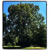 Jane Hamborsky's photo
