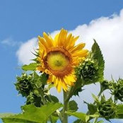 Elaine Barry's photo