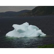 Martine Collin's photo