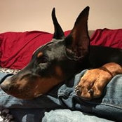 Jeff Meyers's photo