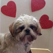 Pat Short's photo