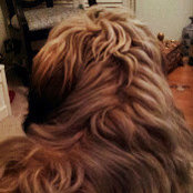 Foto von Sophy Tempest