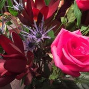 Monice Fiume's photo