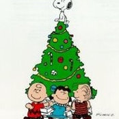 Kathy Crown's photo