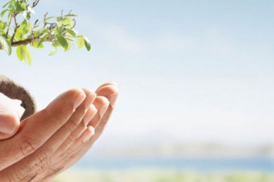 Environmental and Validation Services in Hyderabad.