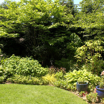 Demington Property