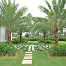 yard ideas