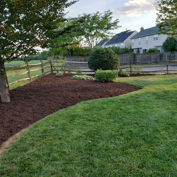 Backyard Landscaping Project