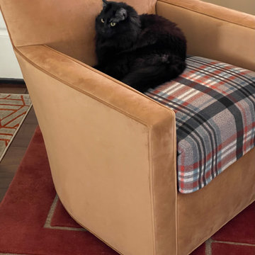 Interior Remodel: Arizona cat chair