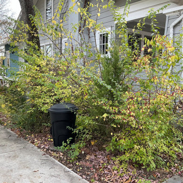 Deep cleaning and invasives removal