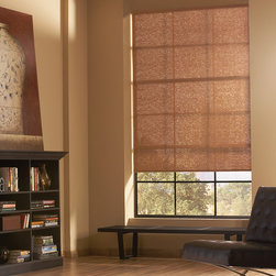 Hunter Douglas Designer Sreen Shades - Roller Shades