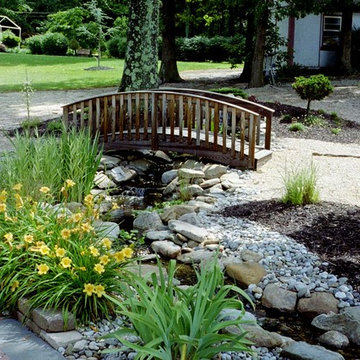 Ponds and Streams