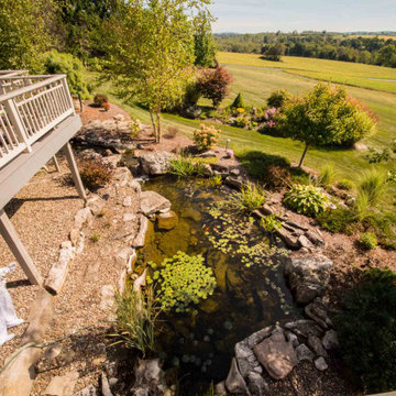 Aquascape ecosystem pond